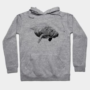 Manatee Ink Drawing Hoodie